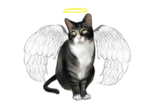 Load image into Gallery viewer, Colour pet portrait - Cat drawn with wings and halo - Color drawing -drawings and portraits from your photos - drawking.com - Drawking